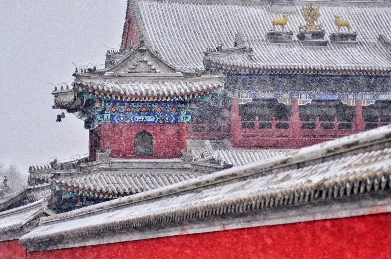 微信图片_20220402175644.jpg