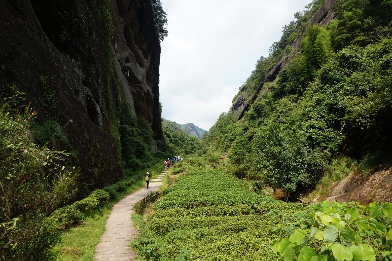 1654851045811566.jpg 1.jpg