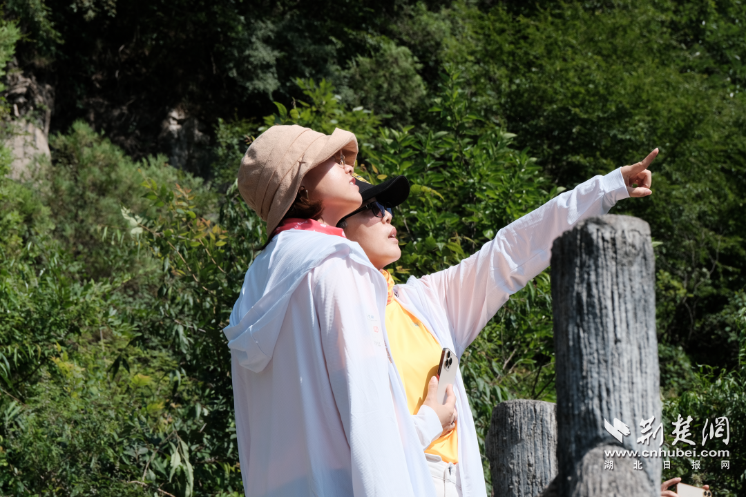 1687936165194791.png 14.png