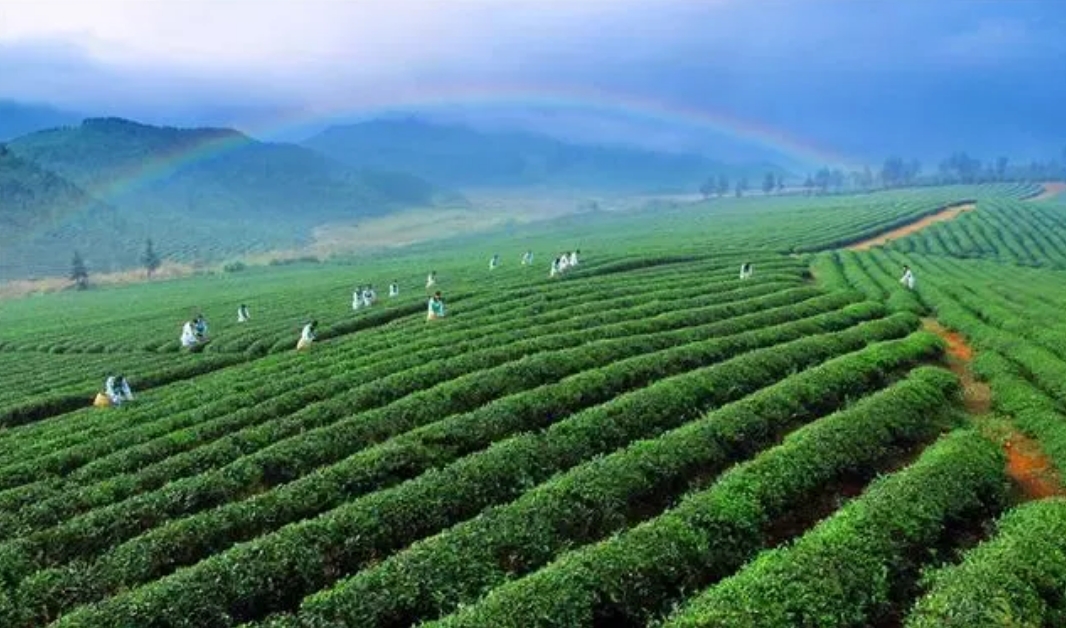 微信截图_20240709155204.png