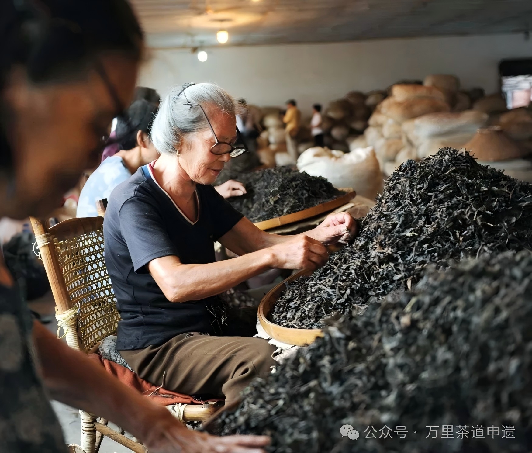 1766577668267623.jpg 640 (1).jpg