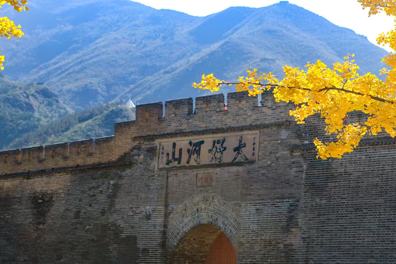 1766625124461518.jpg fda353591f9536d784a3b202c7708f89.jpg