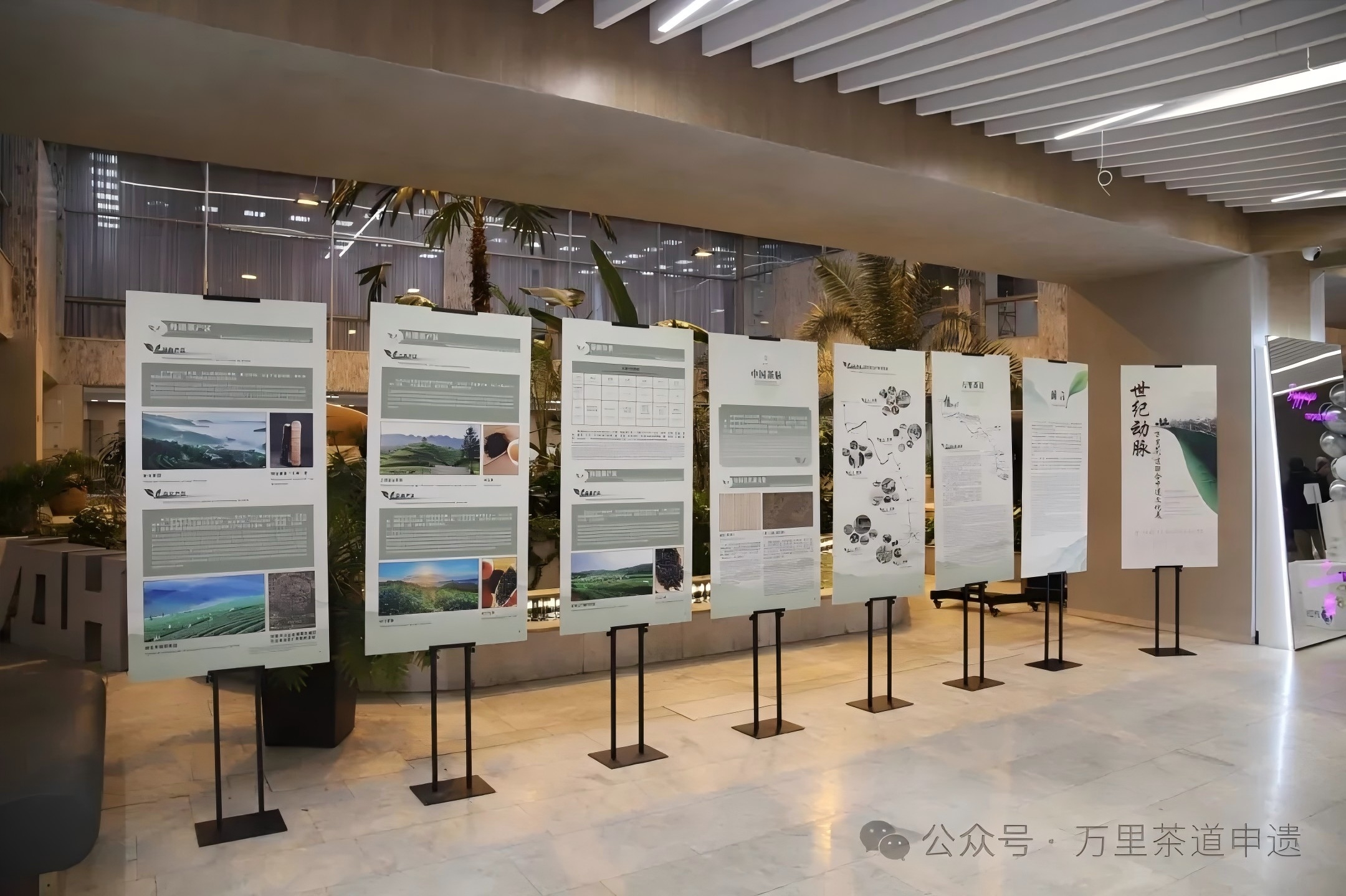 1768036620958311.jpg 640 (2).jpg