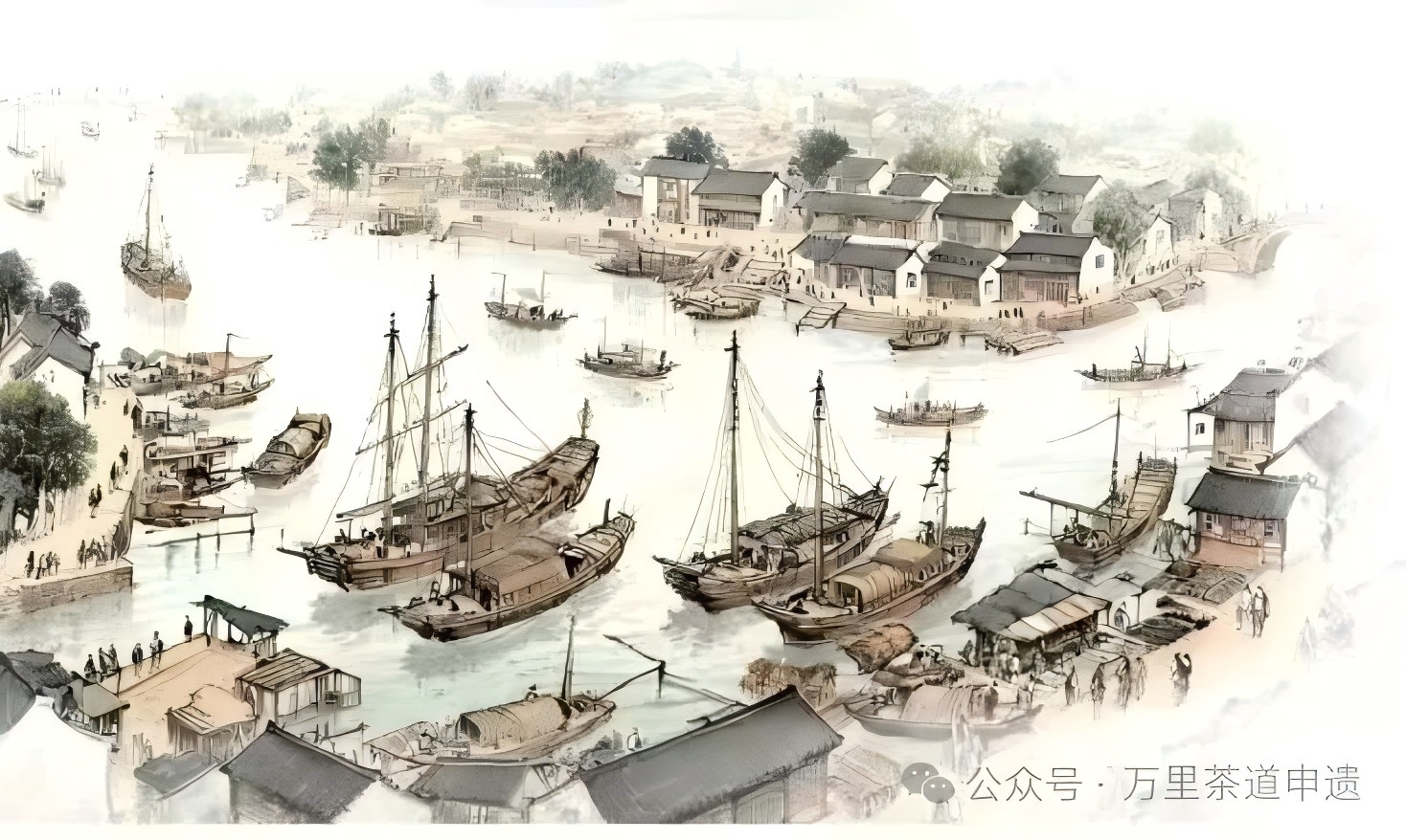 1769410072919571.jpg 640(1).jpg