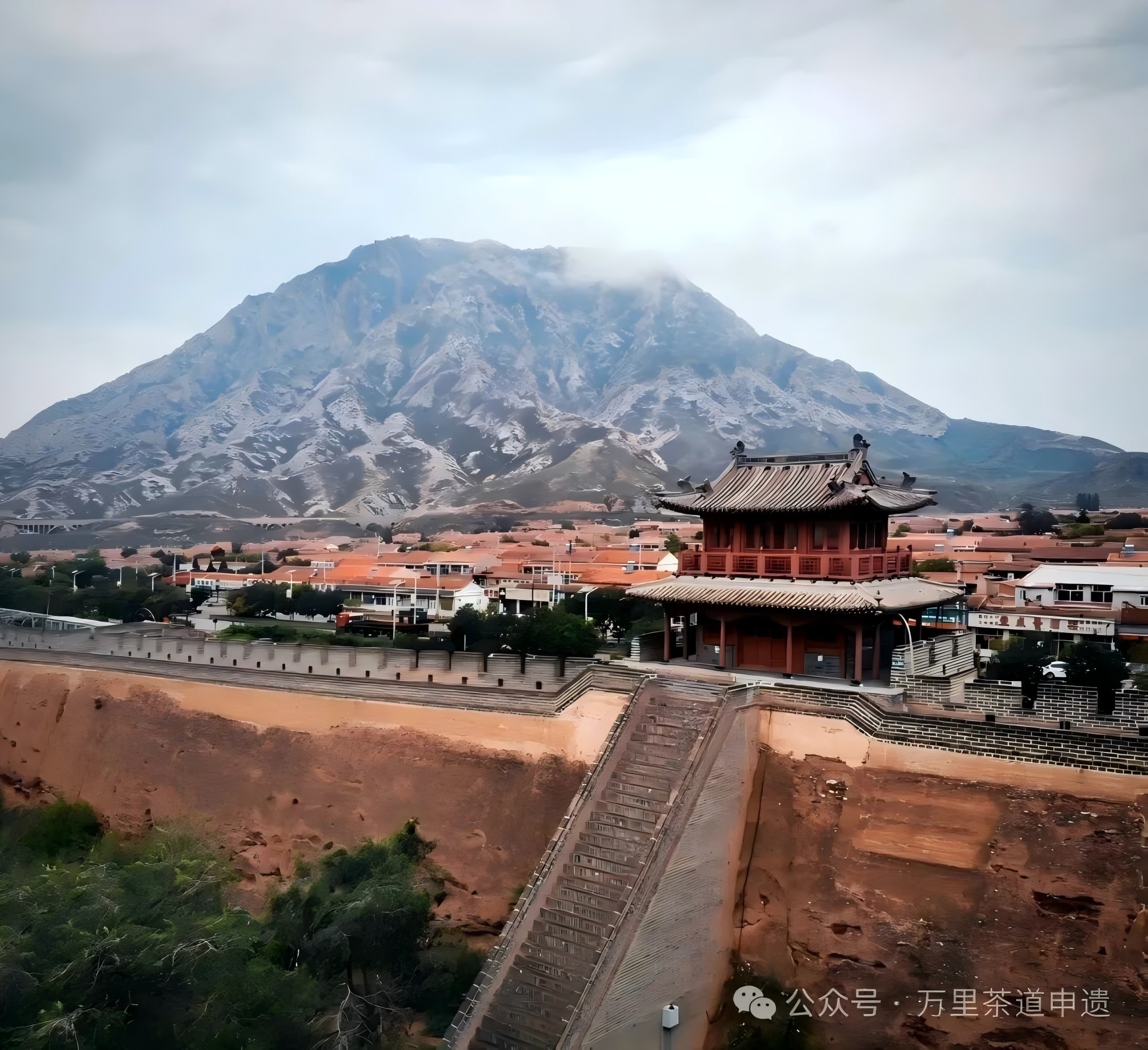 1772587879332979.jpg 640 (1)(1).jpg